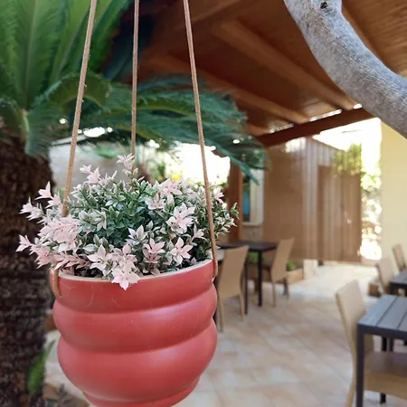 Amaryllis Hotel-3